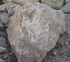 Buckskin Quartzite Boulder